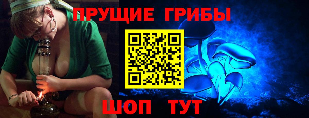 Саранск  Галлюциногенные грибы прущие грибы  купить наркотик  Вход с VPN 